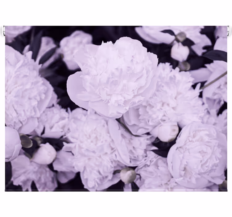 Living room blind elegant feminine pink peonies - TenStickers