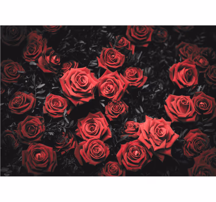 Blind bedroom in black and white with red roses - TenStickers
