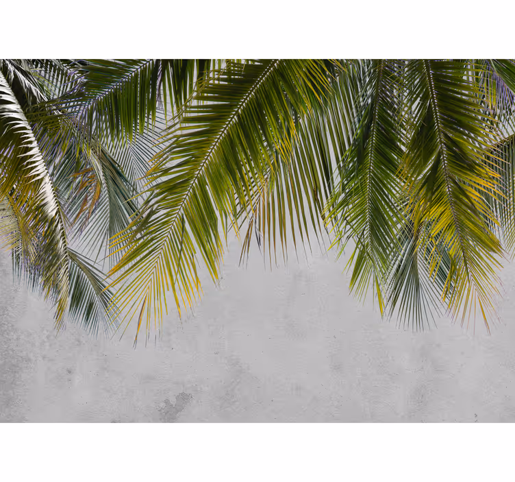 palm leaves hanging living room wall mural - TenStickers
