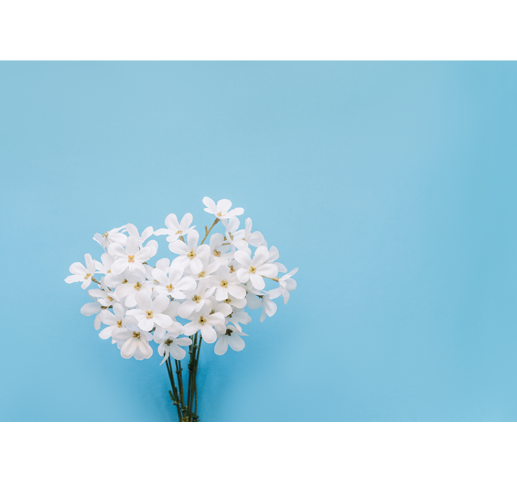 Blind kitchen jazmin blue background - TenStickers