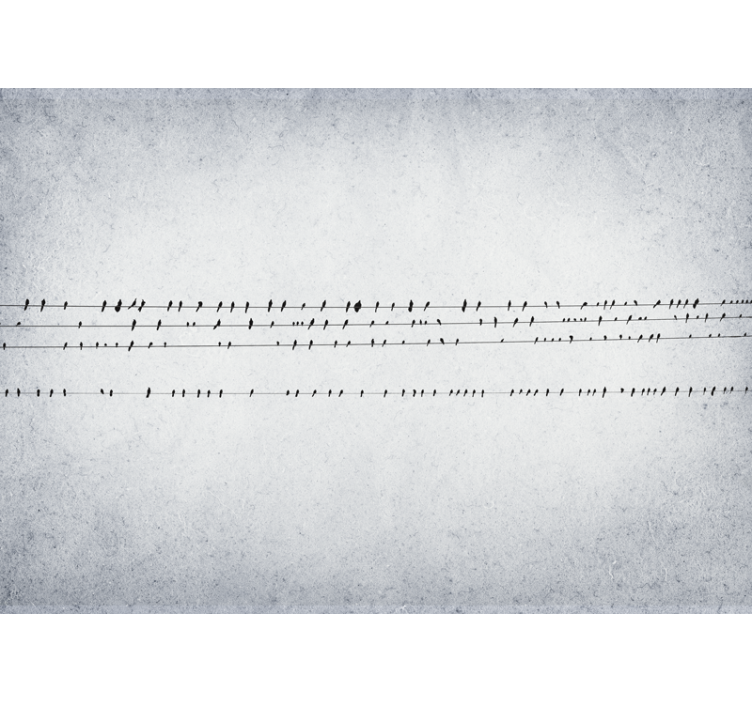 White window blind concert of birds on lines - TenStickers