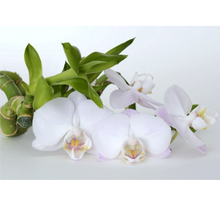 White window blind white green orchid - TenStickers