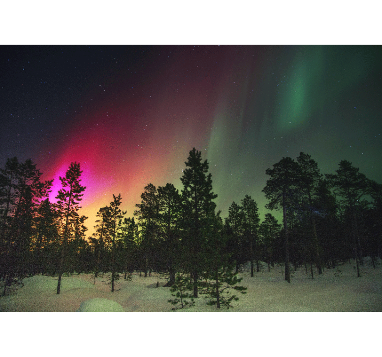 Living room blind northern lights above trees - TenStickers