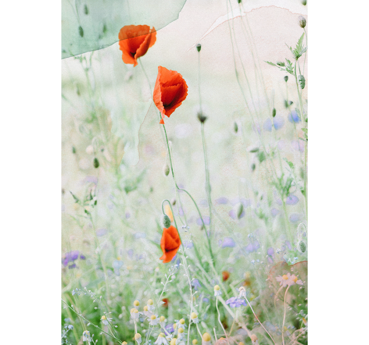 Smudged away red poppies Flower blind - TenStickers