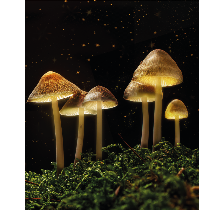 Glowing mushrooms in nature blind - TenStickers
