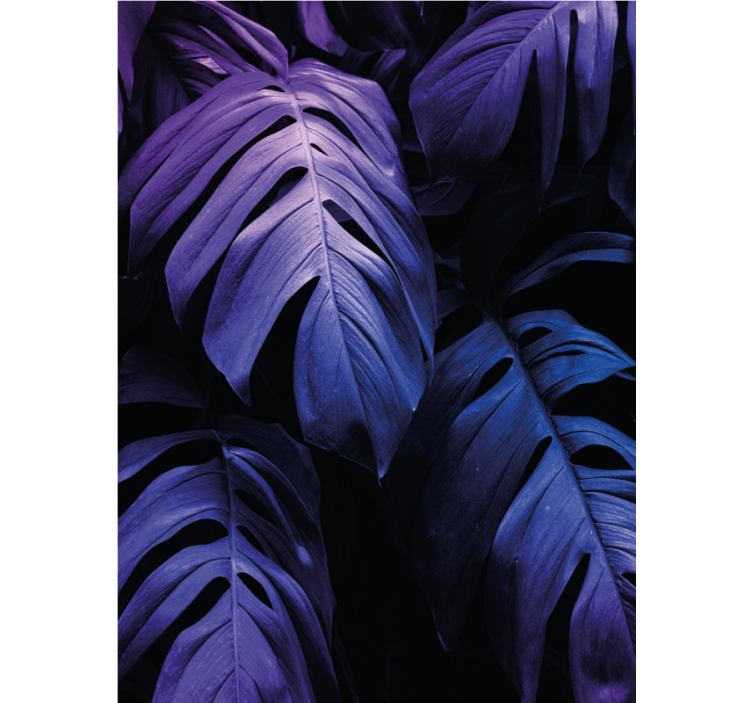 Monstera Deliciosa Foliage blind flowers and plants - TenStickers
