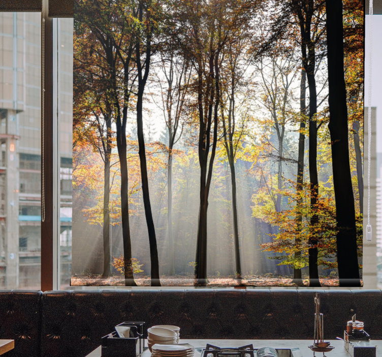 Sunlit forest scene tree blind - TenStickers