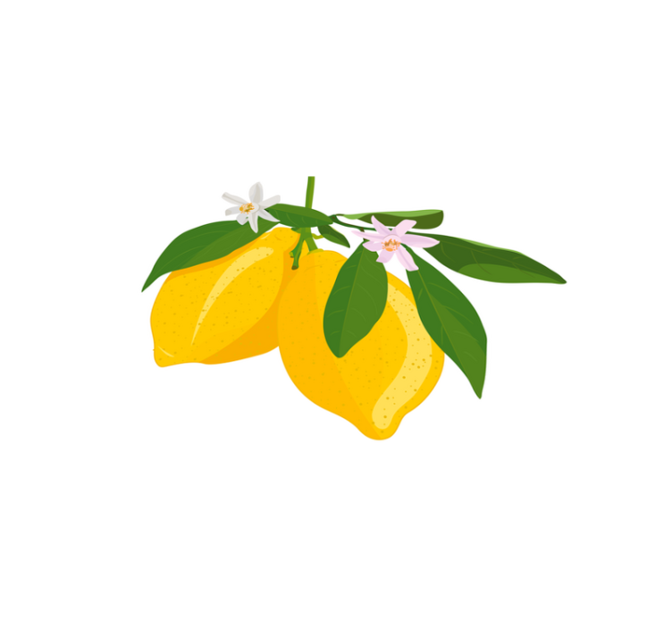 Original placemats lemon branch design - TenStickers