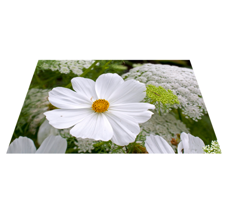 Original placemats elegant white blossom - TenStickers