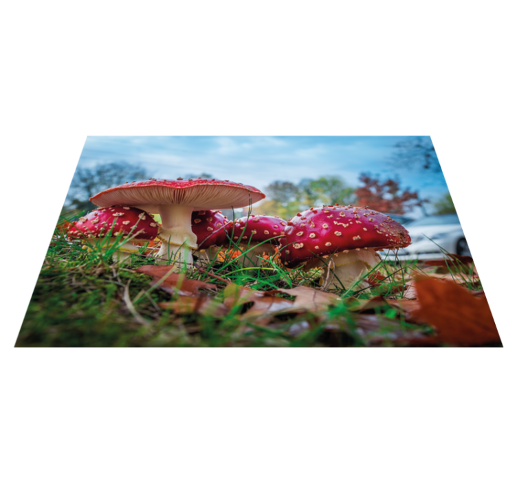Modern placemats mushroom culinary landscape - TenStickers