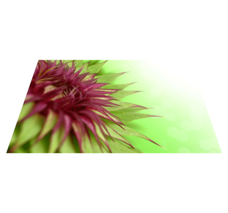 ThistleThistle is a prickly flowering plant of the daisy family,  - TenStickers