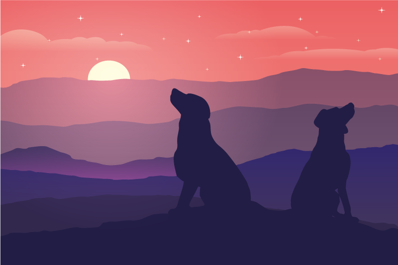 Original placemats silhouetted dogs at sunset - TenStickers
