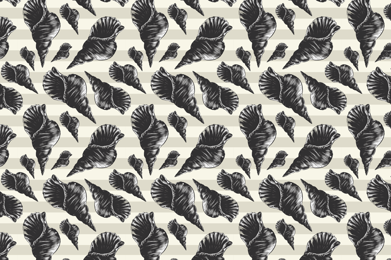 Hand draw seashell vintage seashell placemats - TenStickers