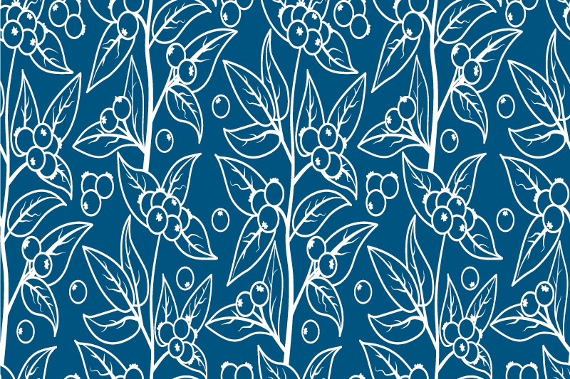 Blue holly elegant placemats - TenStickers