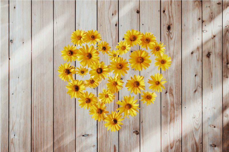 Original placemats heart floral design - TenStickers