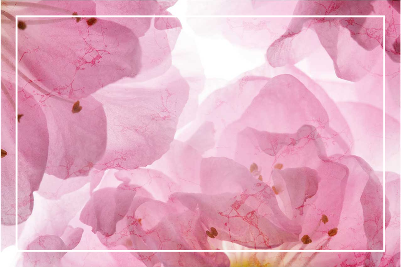 Elegant placemats with gentle floral design - TenStickers