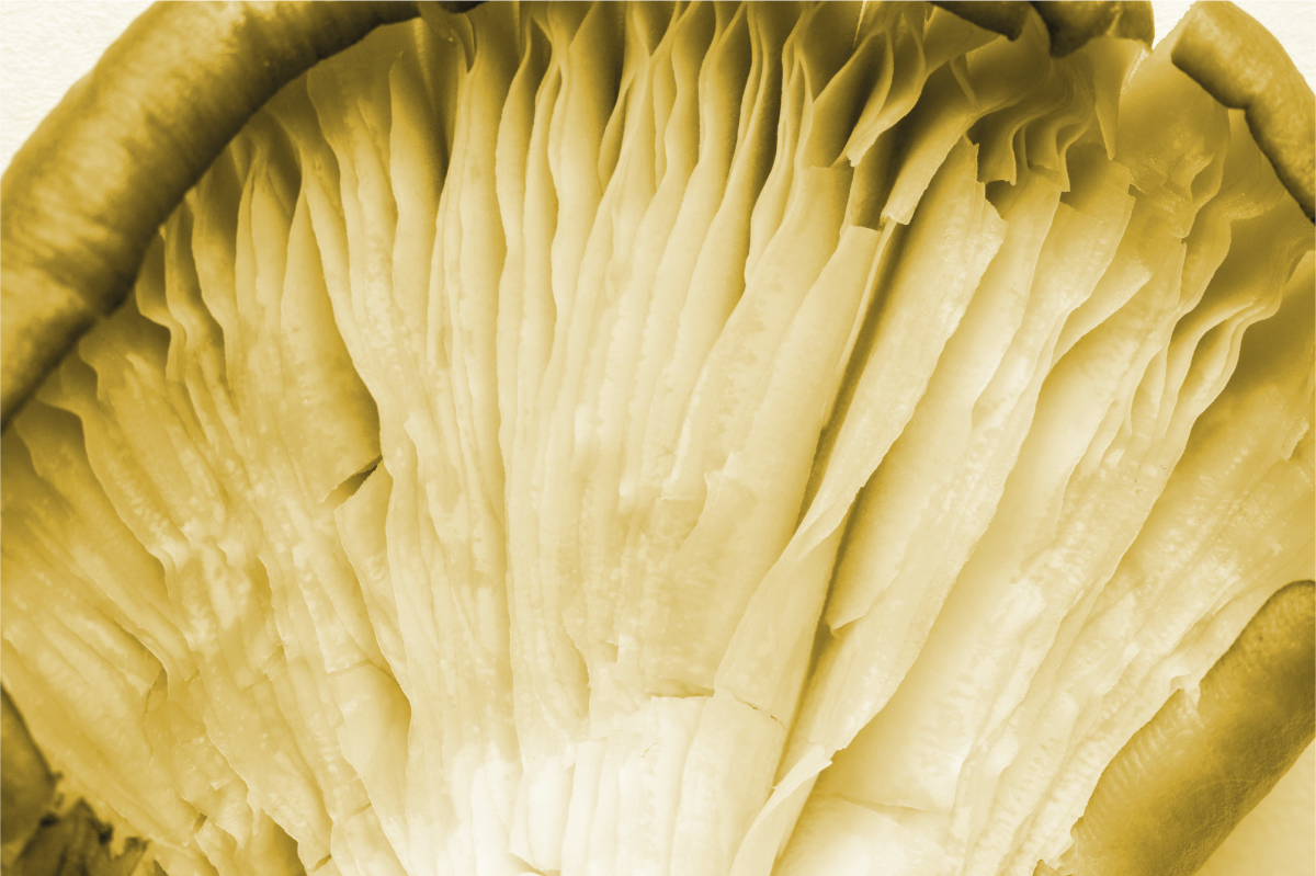 Textured placemats curved leaf layers - TenStickers