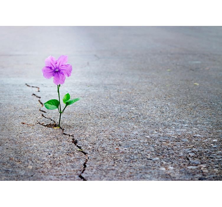 3D Flower Mural Wallpaper - TenStickers