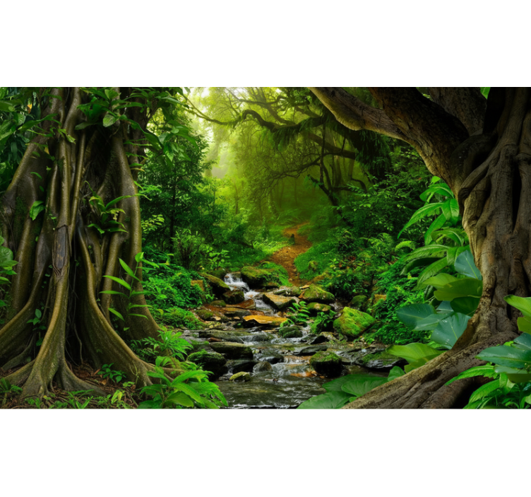 Forest wall mural tropical forest oasis - TenStickers