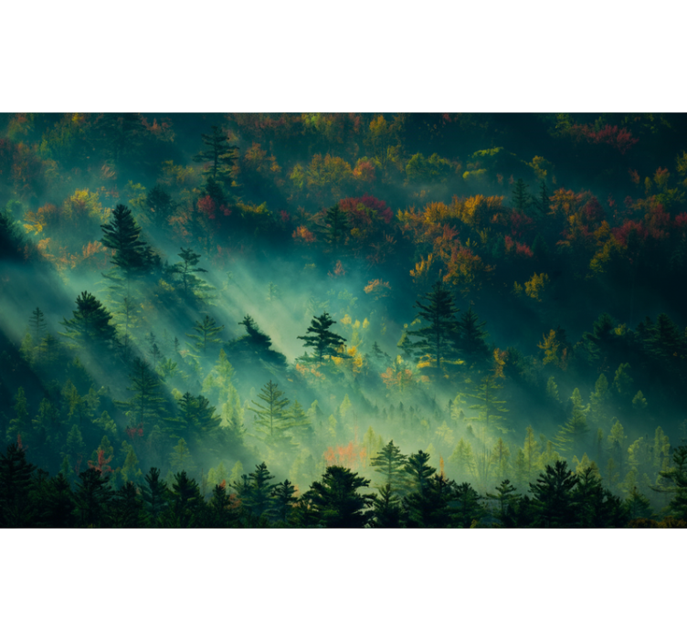 Forest wall mural the enigmatic forest - TenStickers