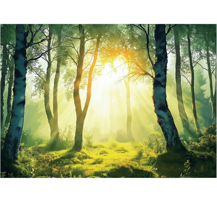 Forest wall mural sunlit birch design - TenStickers
