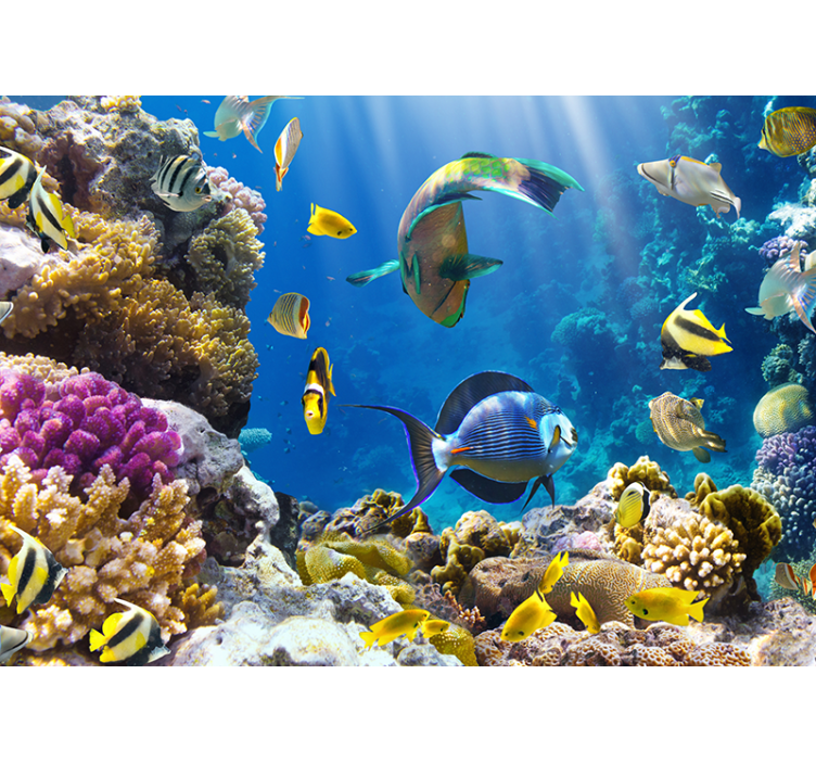 Underwater Coral Reef Wall Mural - TenStickers