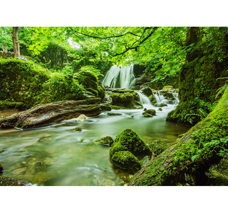 Waterfall in the jungle landscape wall mural - TenStickers