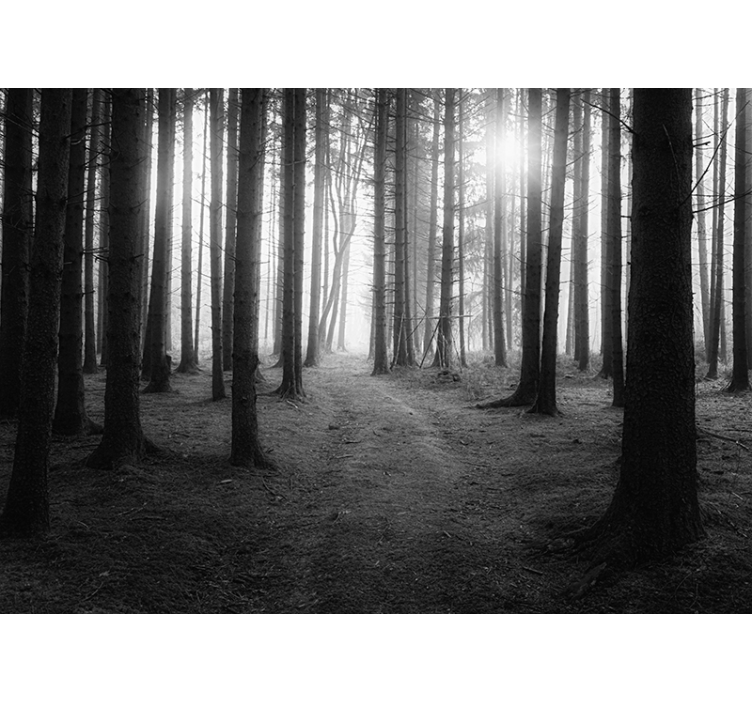 Magical Woodland forest wall mural - TenStickers