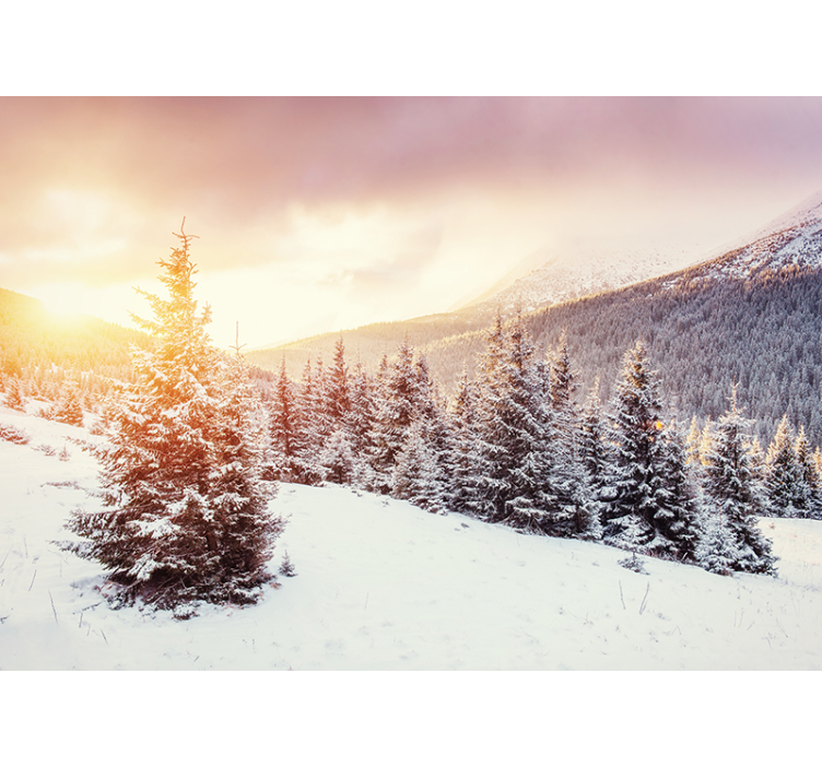 Forest wall mural icy pine landscape - TenStickers