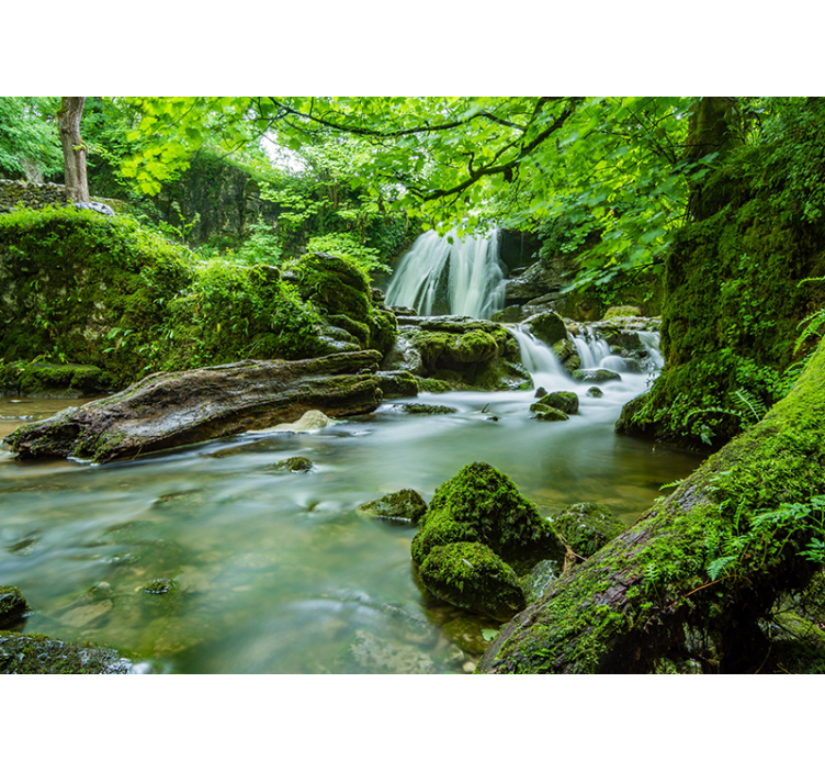 Wall mural nature tranquil woodland stream - TenStickers