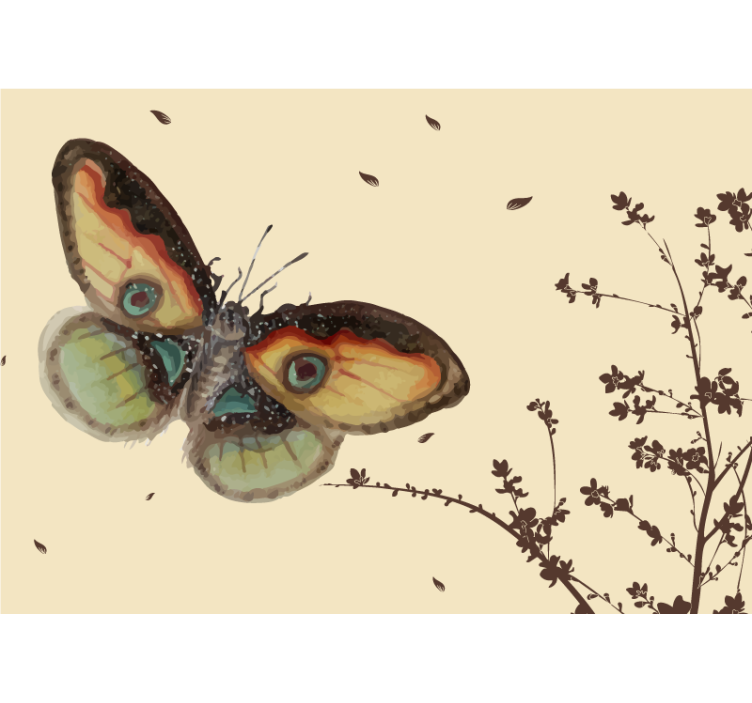 Animals wall mural large butterfly showcase - TenStickers