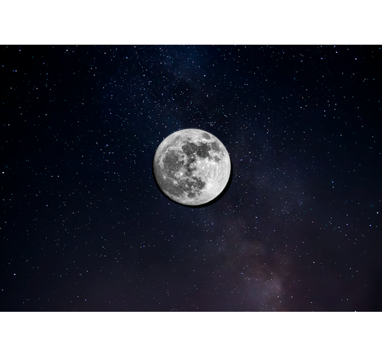 Grey moon in outer space space wall mural - TenStickers