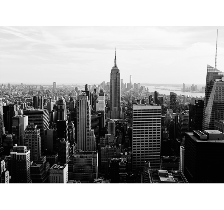 Empire State Building View wall mural new york - TenStickers