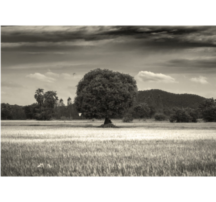 Lone Tree Landscape wall mural trees - TenStickers