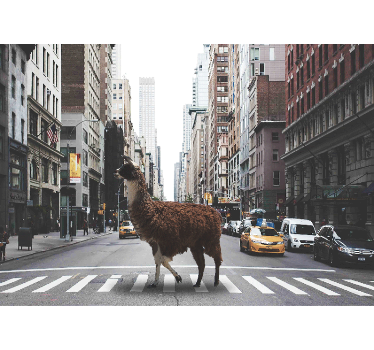 Animals wall mural llama in the street - TenStickers