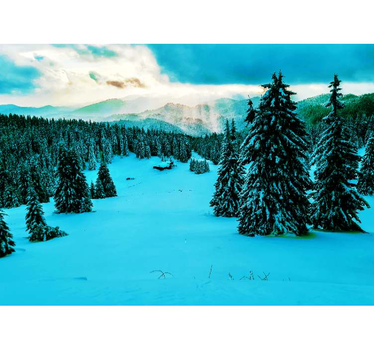 Snowy Pine Forest landscape wall mural - TenStickers
