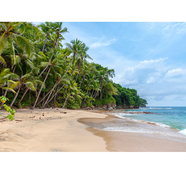 Wall mural nature tropical shore oasis - TenStickers