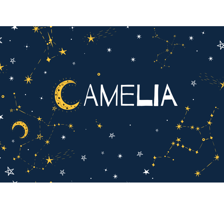 Constellations and moon Teenage Wall Murals - TenStickers