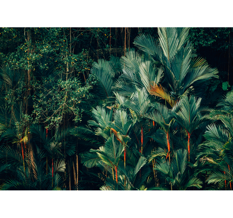 Wall mural nature exotic palm leaves - TenStickers