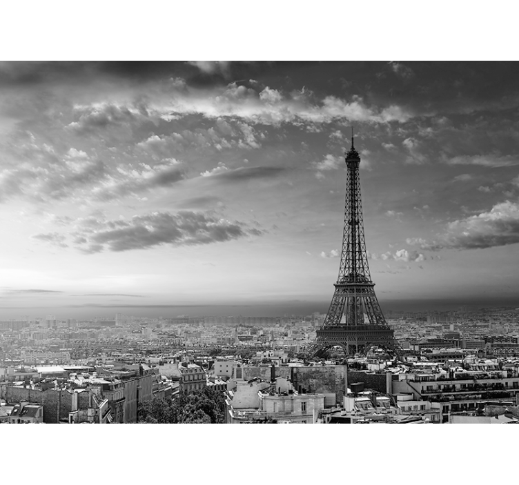 Paris wall mural eiffel tower scenic vista - TenStickers