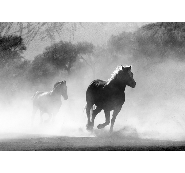 Two Running Horses animals wall mural - TenStickers