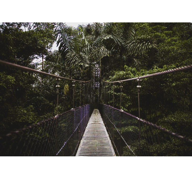 Suspension bridge adventure wall mural nature - TenStickers