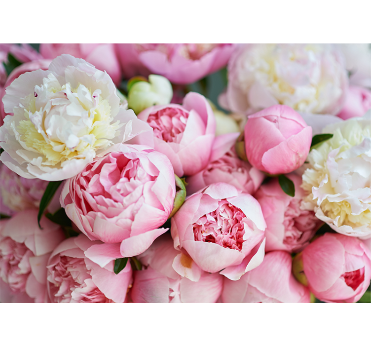 Flower wall mural peony blossom collection - TenStickers