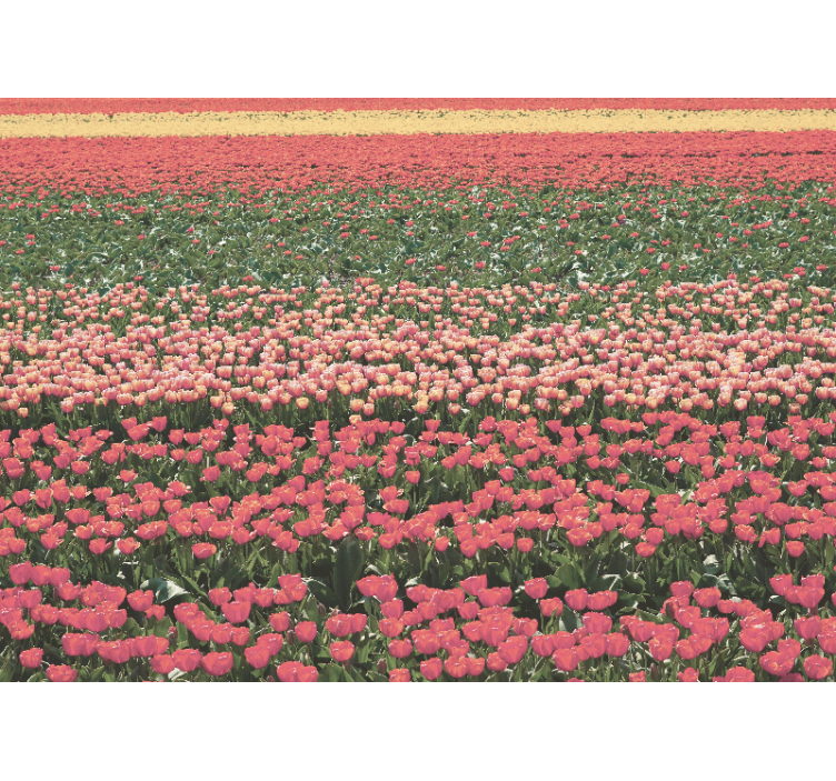 Different kind of flower field wall mural - TenStickers