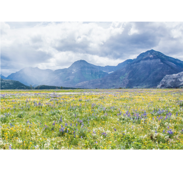Landscape wall mural mountain flower field - TenStickers