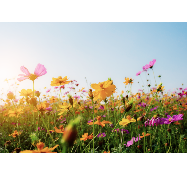 Flower wall mural colorful blooming flora - TenStickers