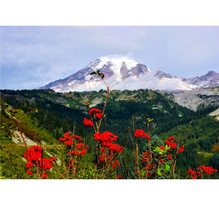 Landscape wall mural snow-capped mountain scene - TenStickers