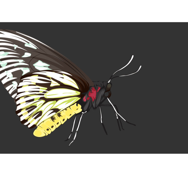 Yellow Butterfly Design flower wall mural - TenStickers