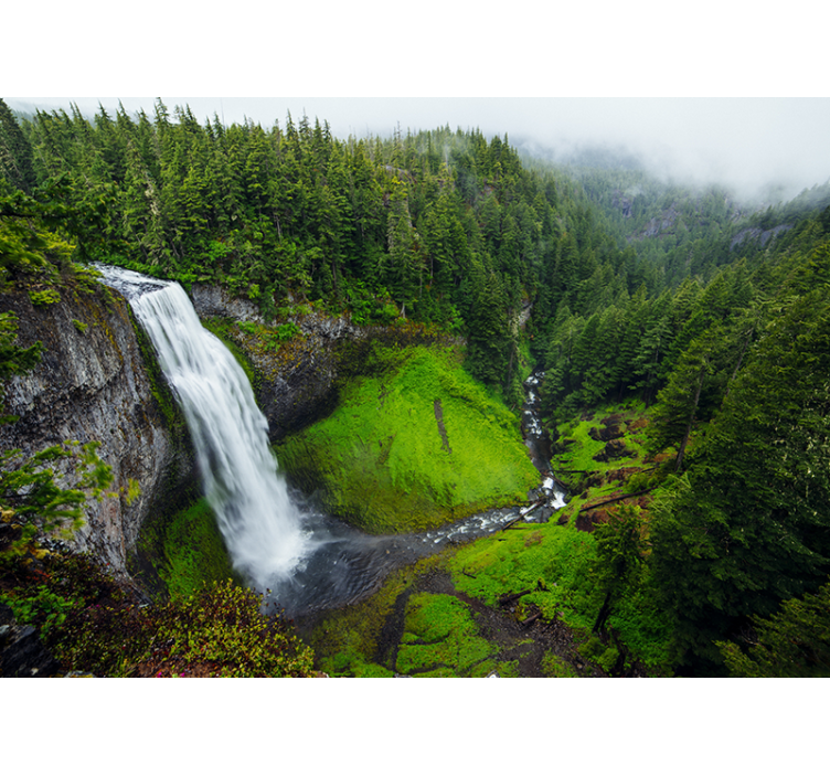 Wall mural nature lush green waterfall - TenStickers
