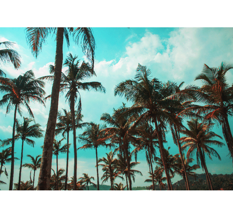 Wall mural nature palm trees paradise - TenStickers